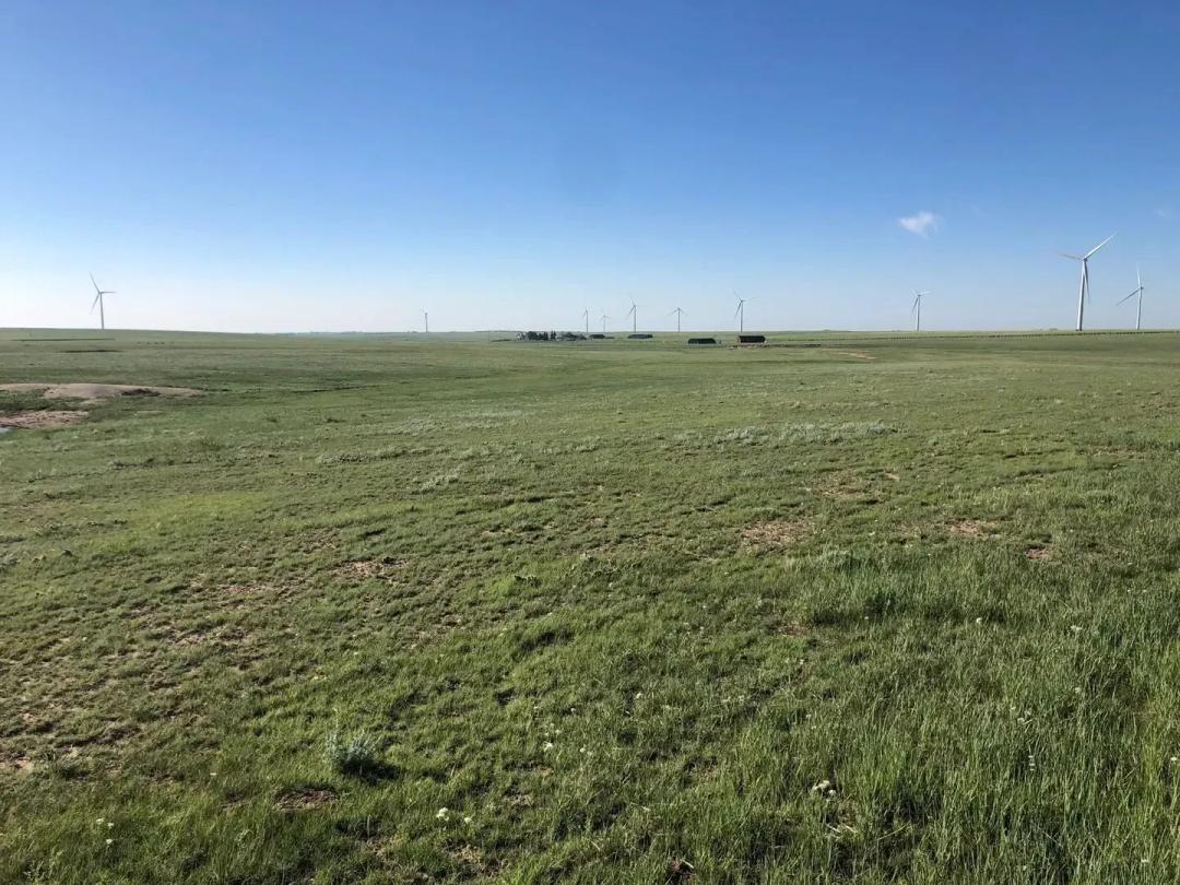 Buck Creek Breeder Farm