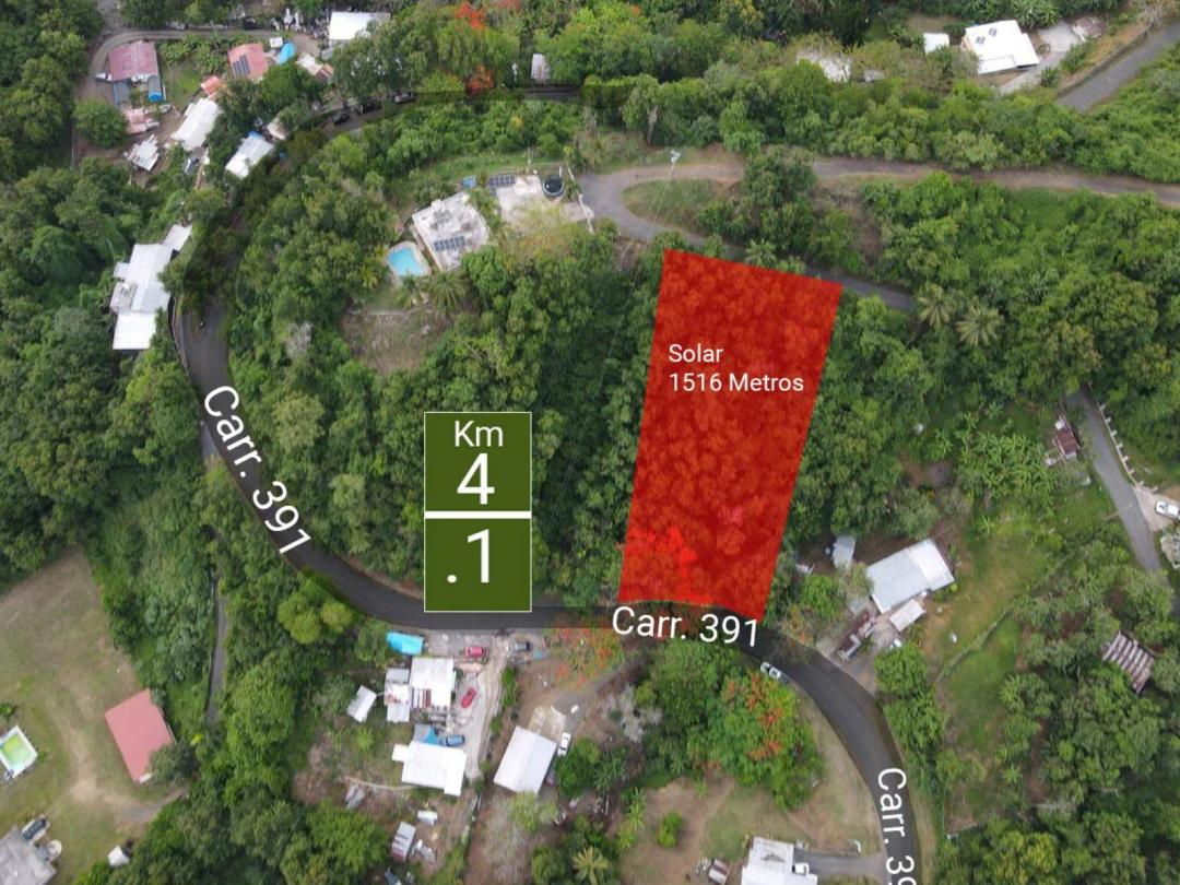 Land for Sale in Peñuelas