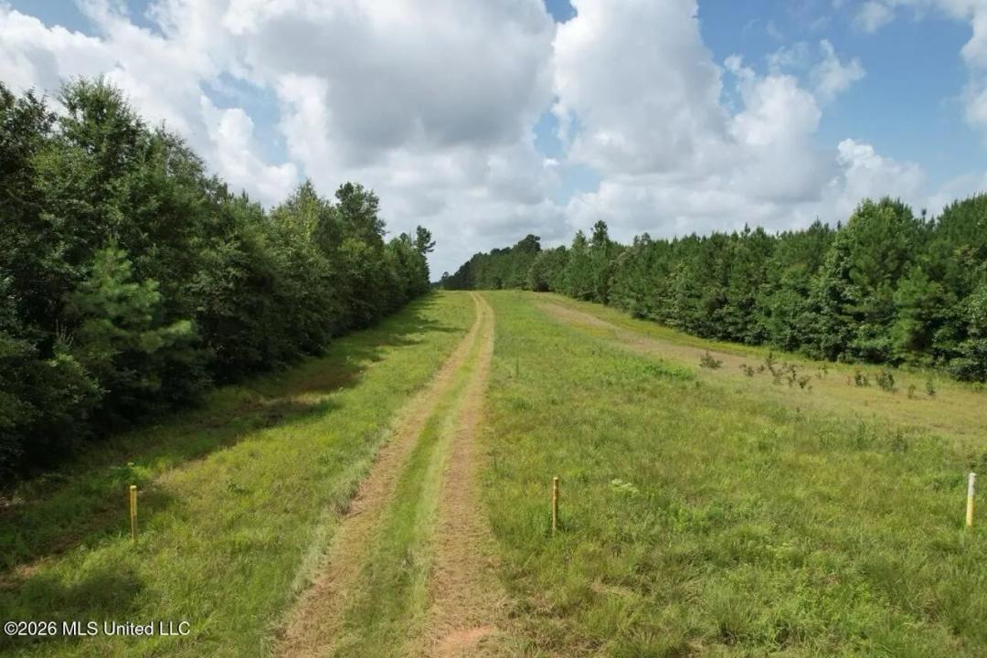 26± Acres in Greensburg, LA on Black Creek