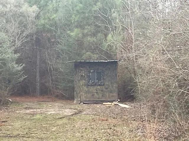 80442482-5