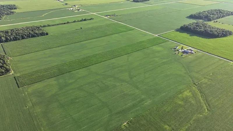 Decker Farm