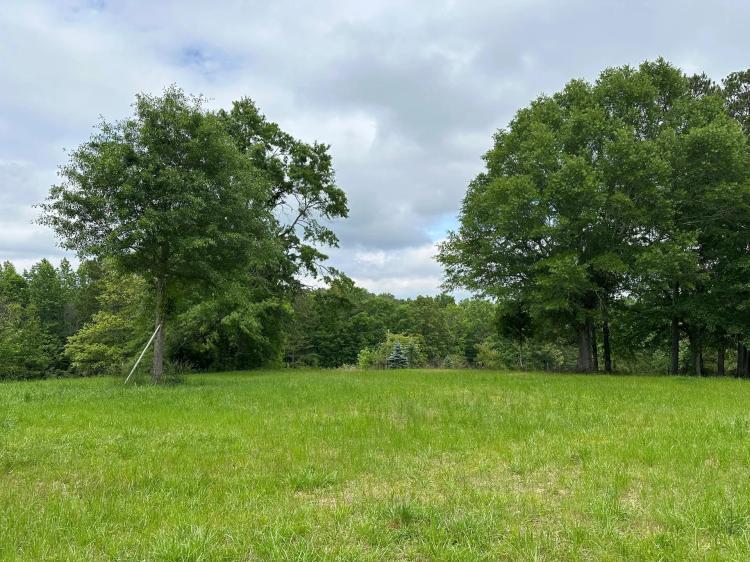Discover Your Dreams on 15.32 Acres