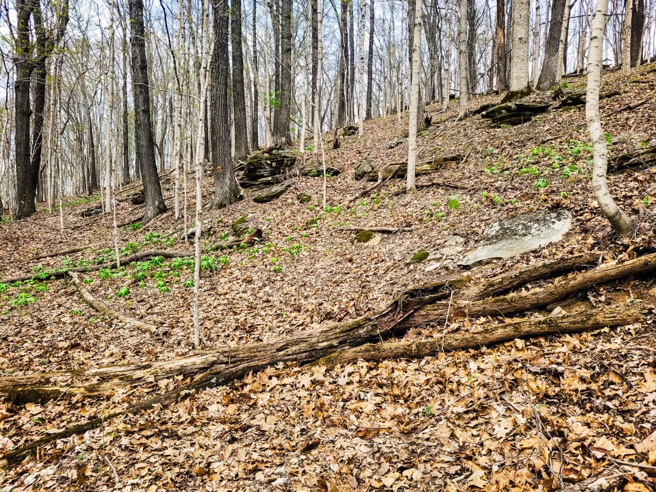 80478747-4