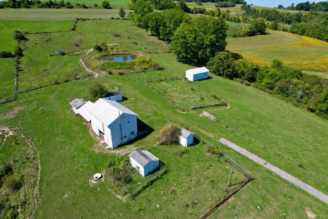 Parker Rd., Washington County - 96± Acres
