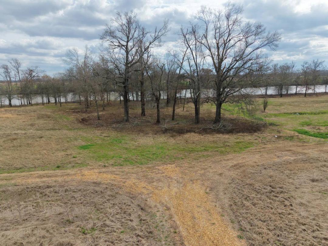 Pastureland / Farmland