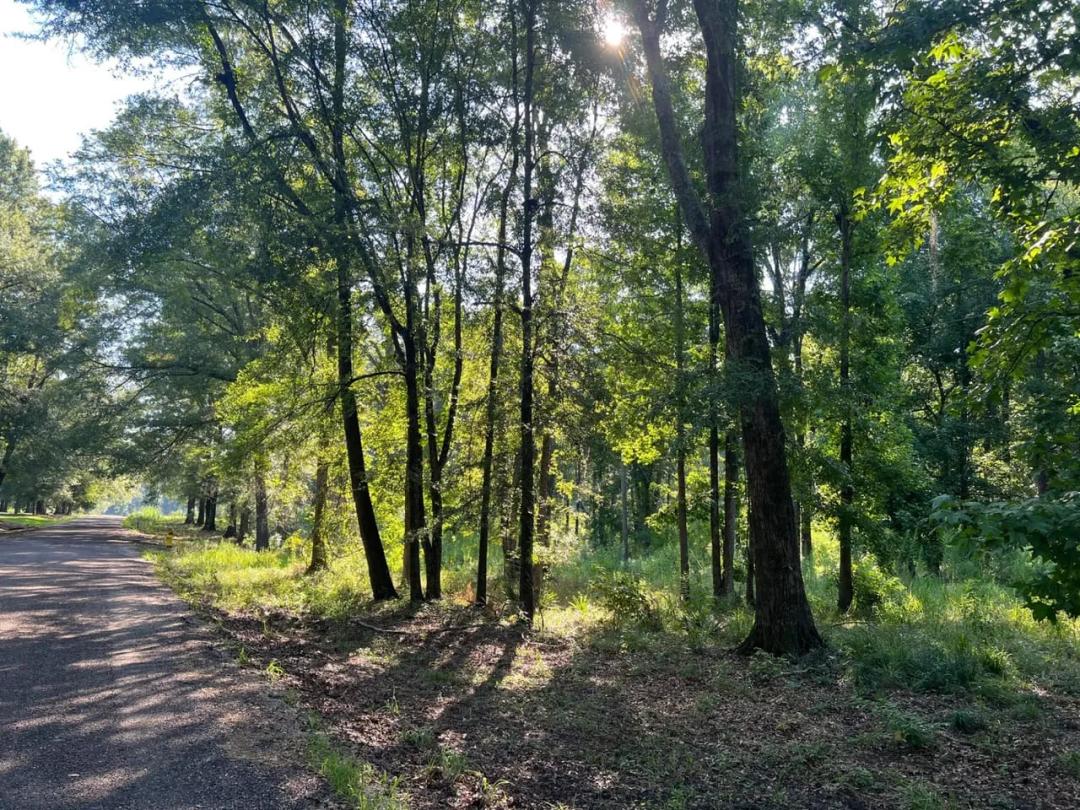 3.45 Acre Homesite Opportunity