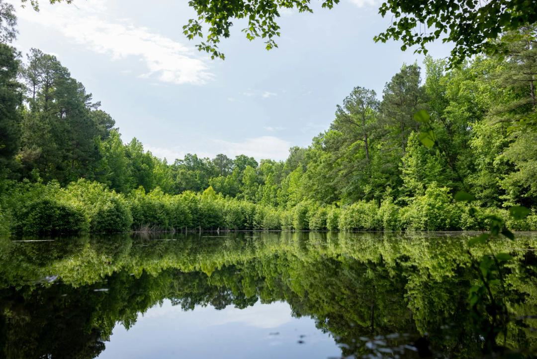 Tranquil Escape with Private Pond