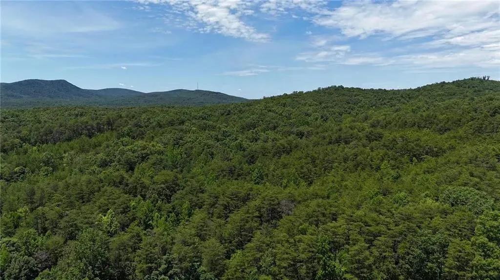 47.09 Acres of Land for Sale in Rydal, GA