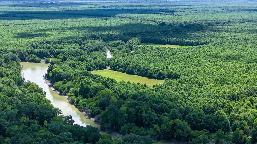 464 Acres with a Lodge in Sharkey County in Rolling Fork, MS