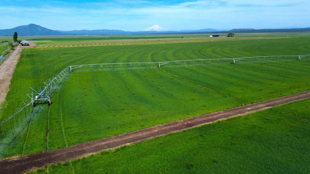 Carroll Pivot Ranch