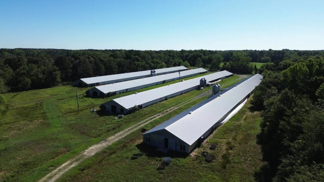 40.00 Acres at 0 Holladay Road