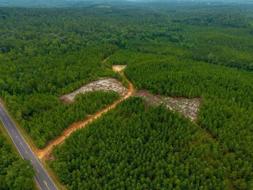 Lightwood 3, 30 Acres in Chilton County, Verbena Alabama