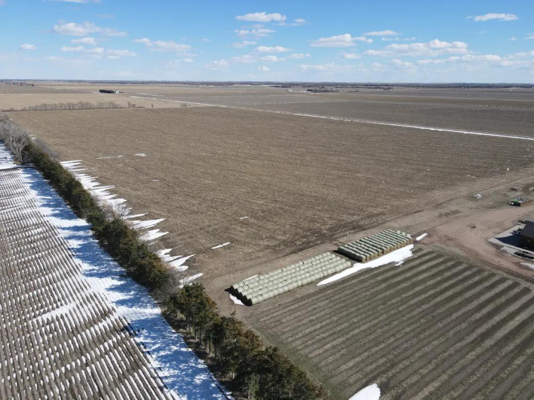 Buffalo County Drip Tape Farm