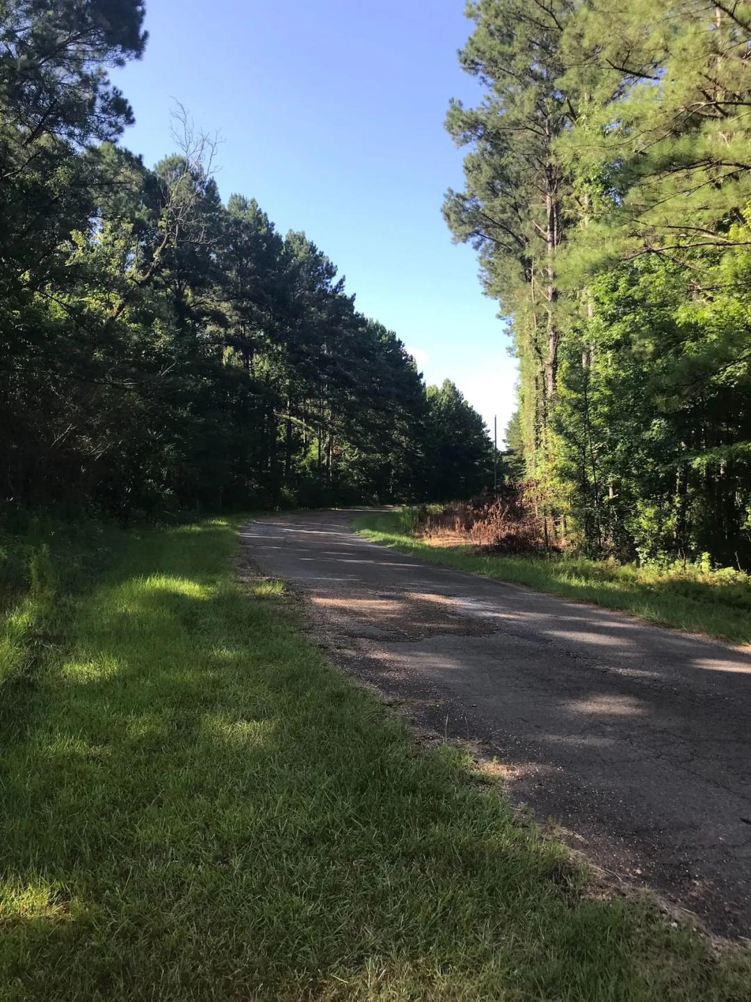 Hunting and Timberland Tract in Franklin County, Mississippi