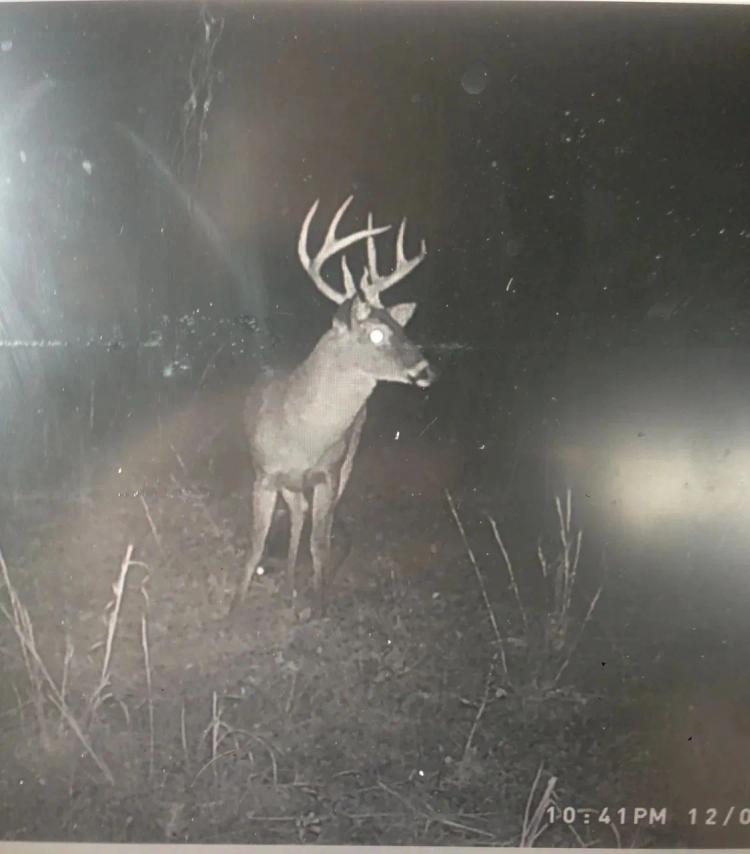 2 Cabins and 645 Acres of the Ultimate Hunting Retreat/ South Marion County 