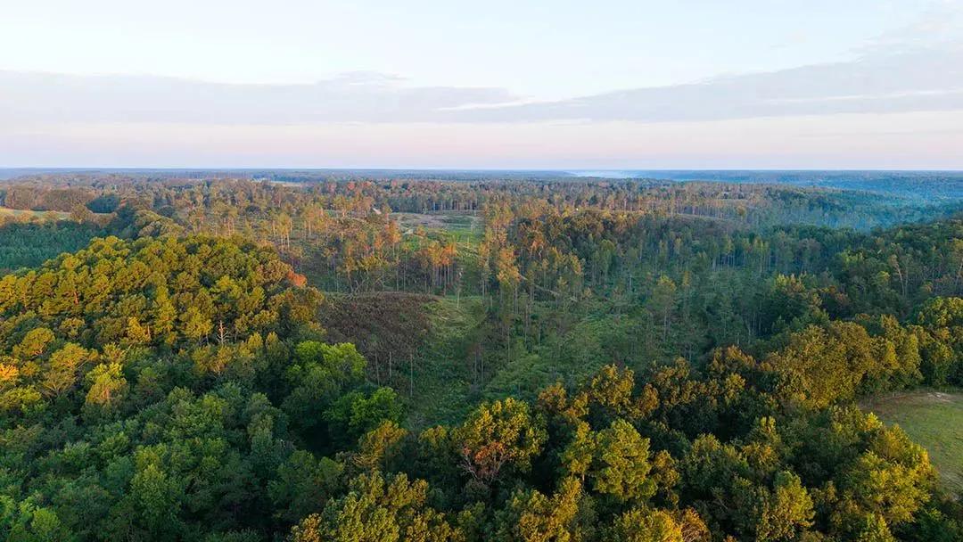 226.5 Acres in Wayne County, TN 