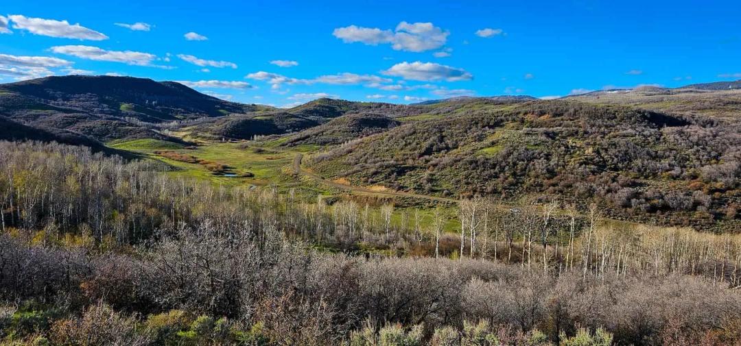 Cottonwood Ranch