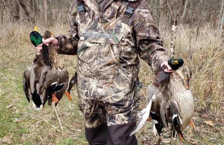 39± Acres of Prime Hunting Ground w/Income Potential For Sale – Williamson County
