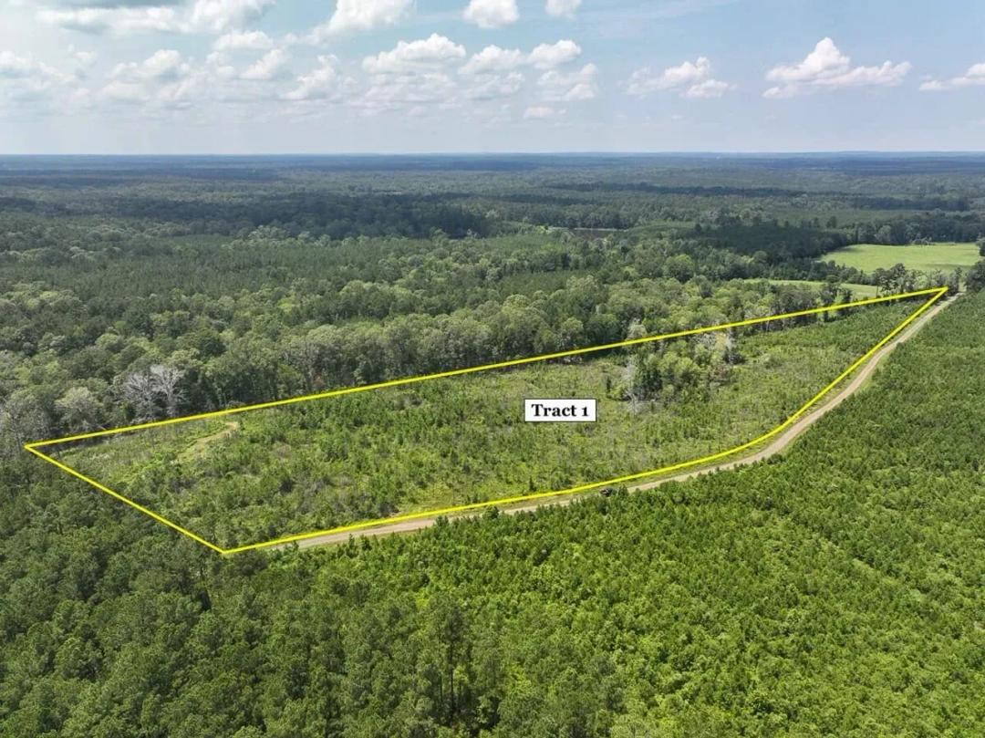 12 Acres | T-1 | Coussons Drive | 1029