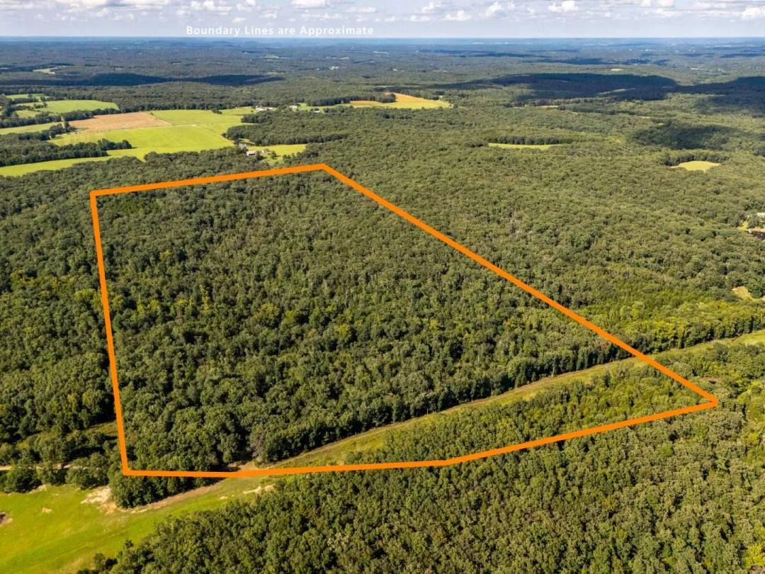 85±-Acre Woodland Retreat with Creek, Trails, & Build Potential – Gasconade County