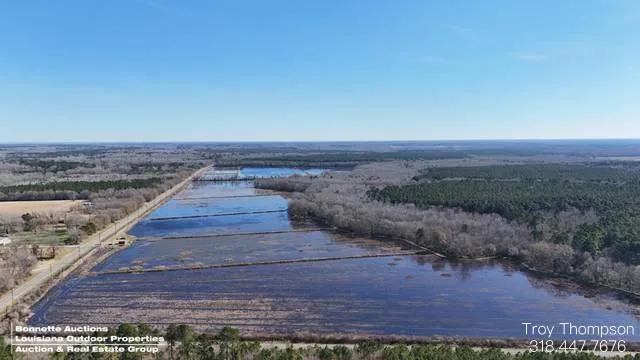 Bayou Chicot Crawfish Farm
