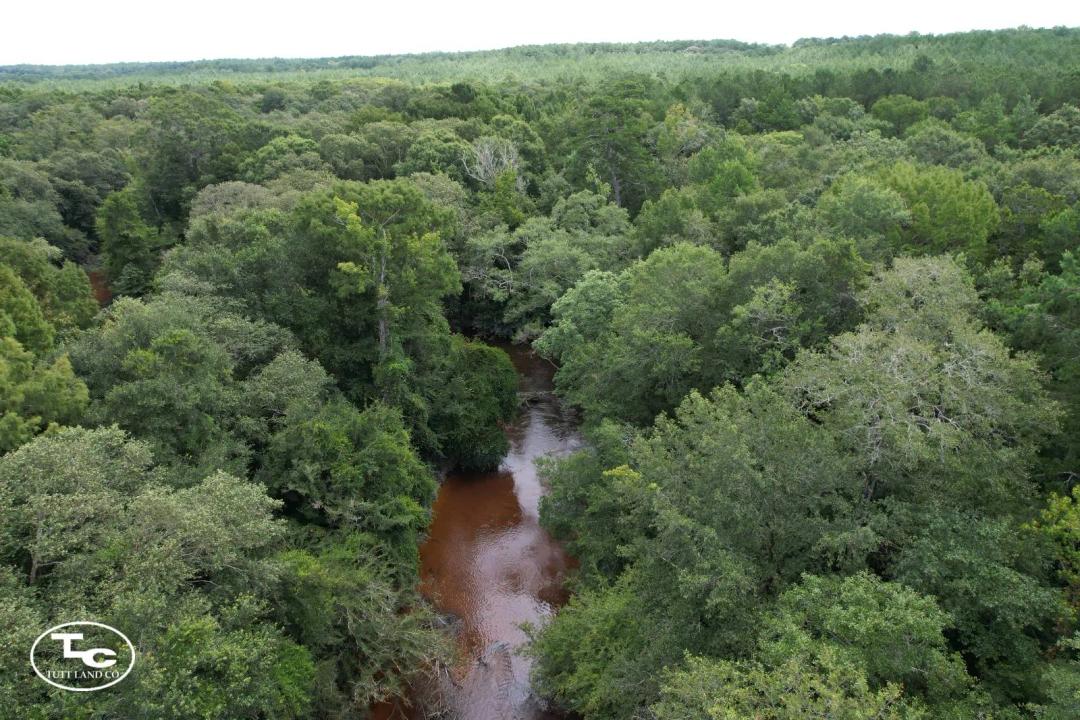 38.59 +/- Acres - Okaloosa County - Pond Creek Tract