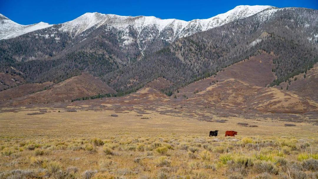 Miller Creek Ranch