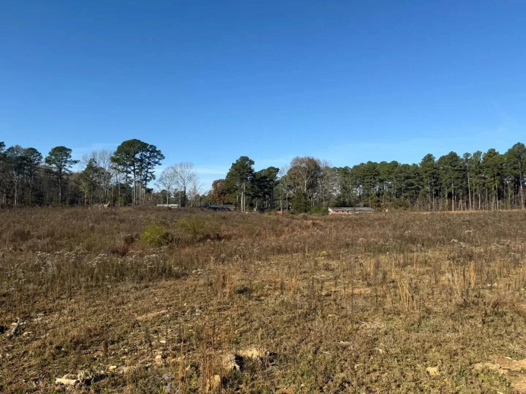 19.4 Acres in Winston County, MS 