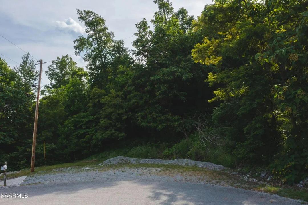 Seize Your Lakeside Paradise in New Tazewell, TN