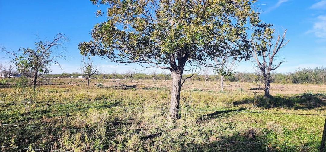 Texas Riverfront land for sale
