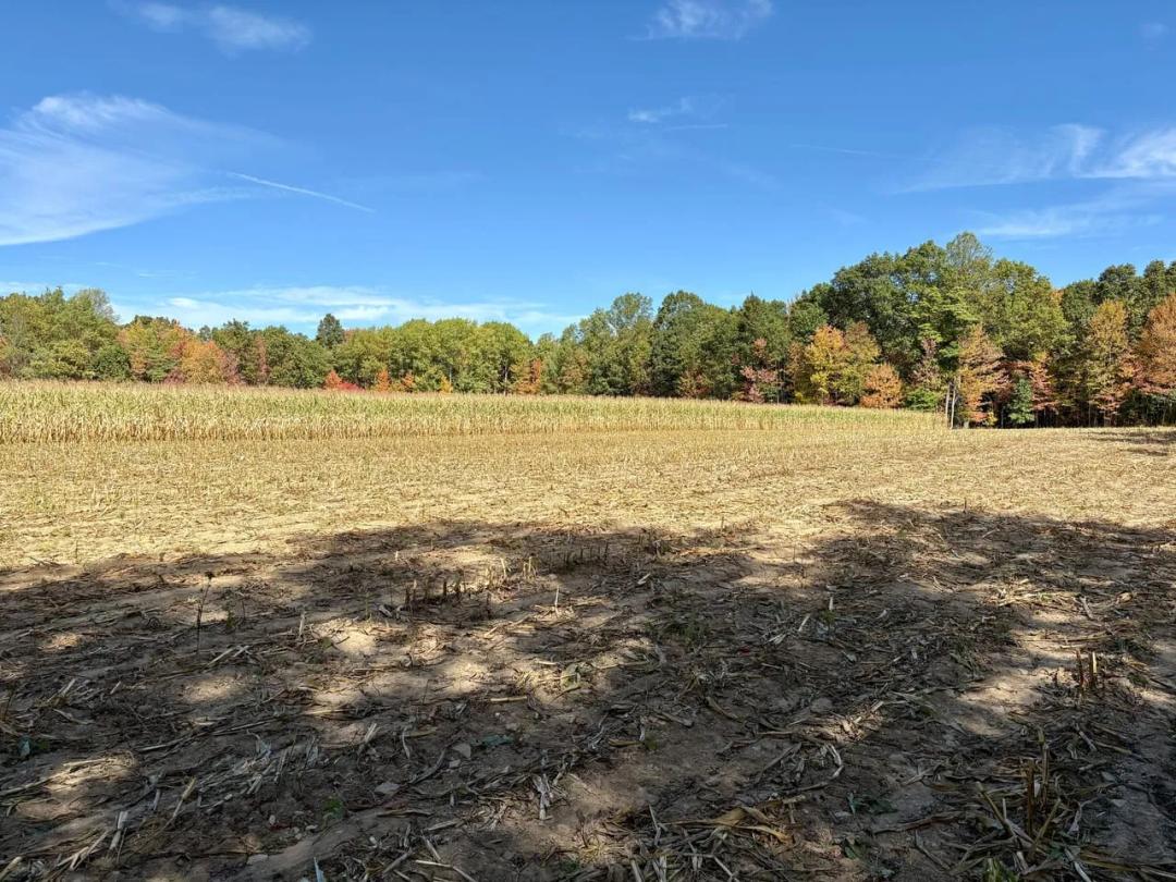 Nagle Rd., Cambria Couty - 40 ± Acres