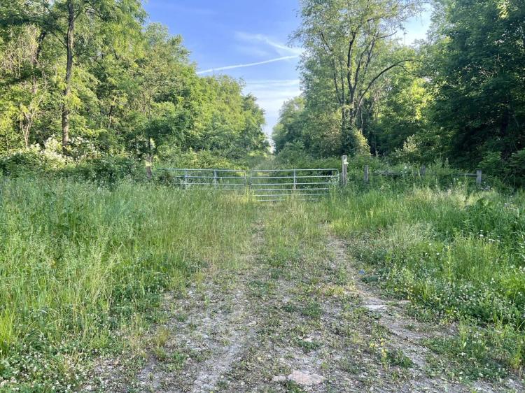 Love and Emory Hill Rd., Westmoreland County - 132 acres