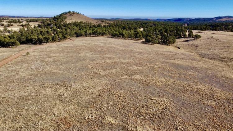Walno 40 Acre Parcel