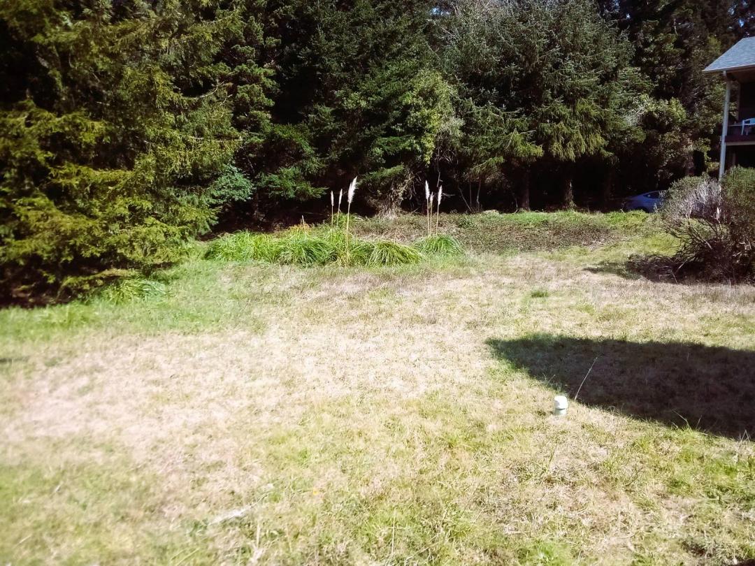 Oversized City Lot in the heart of town