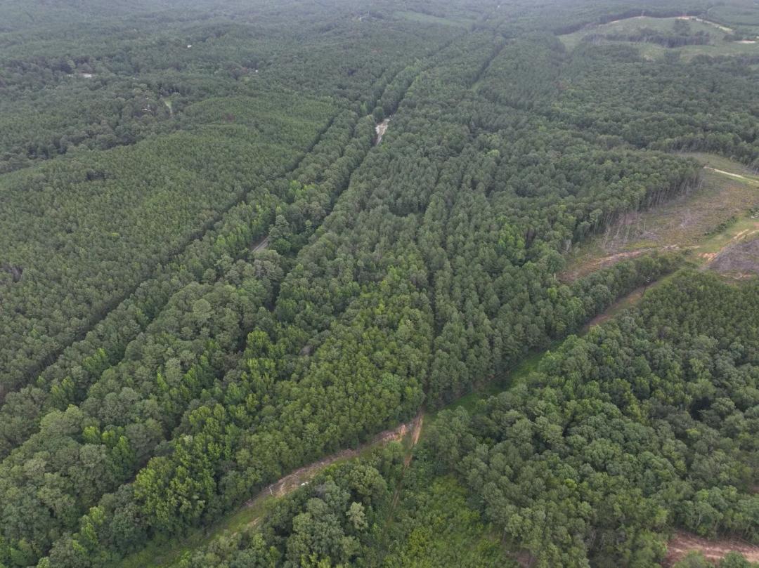 38.00 Acres at 8501 Lawsontown Rd