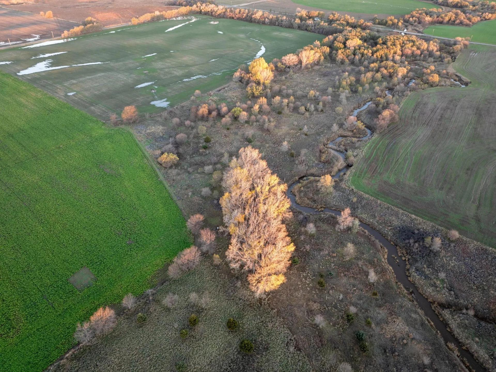 81152635-7