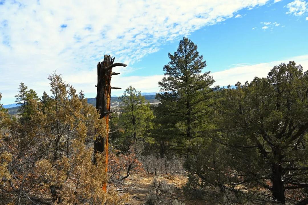 00 Rd Cr 322 Unit D-1 Lot 11 Cr 322 El Poso