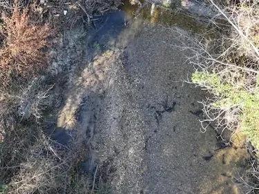 81176503-7