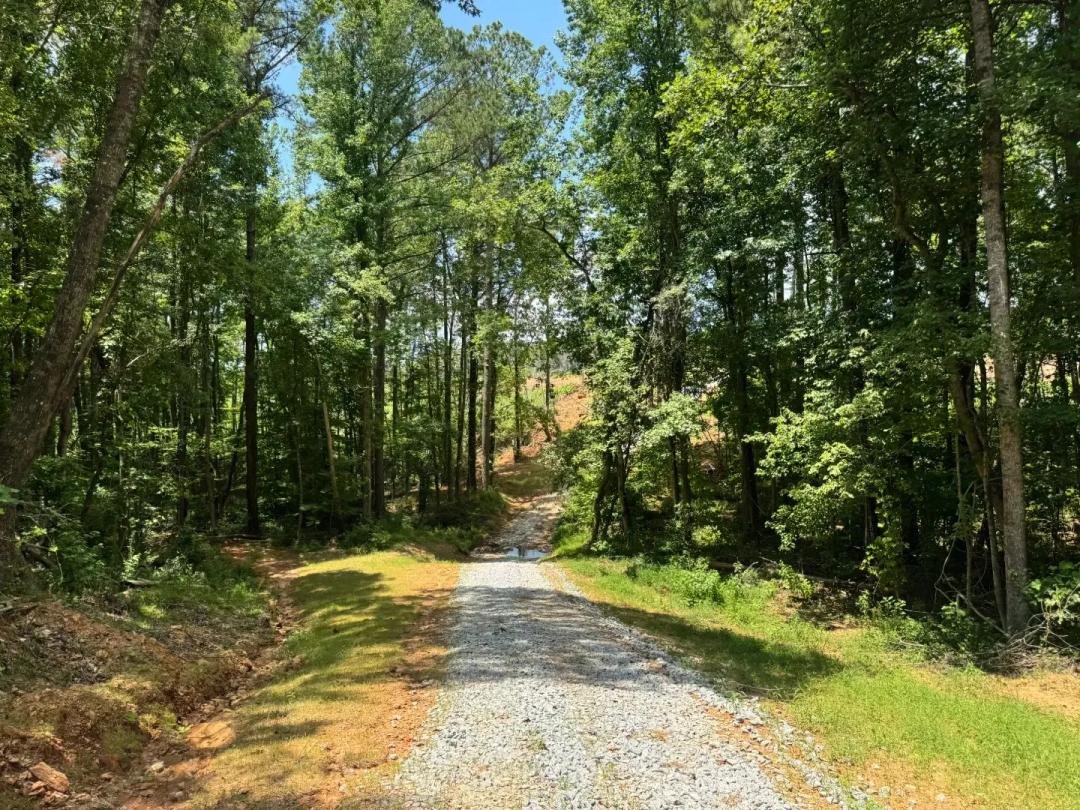 Excellent Timber land opportunity in North Heard County