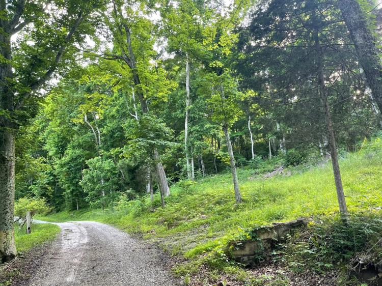 2.6 AC. PEACEFUL SETTING WITH HOOSIER NATIONAL FORESTRY ACCESS