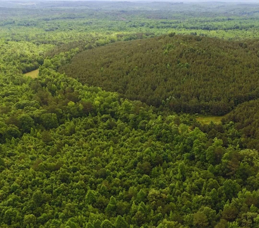 472 Acres in Monroe County in Greenwood Springs, MS