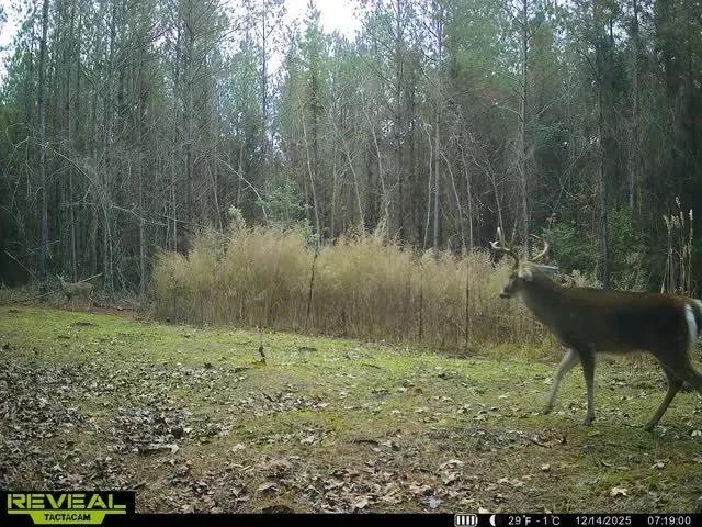 97 Acres in Attala County in Goodman, MS