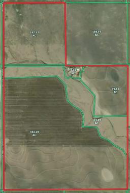 81298008-1