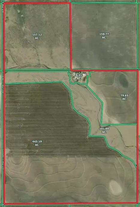 81298008-1
