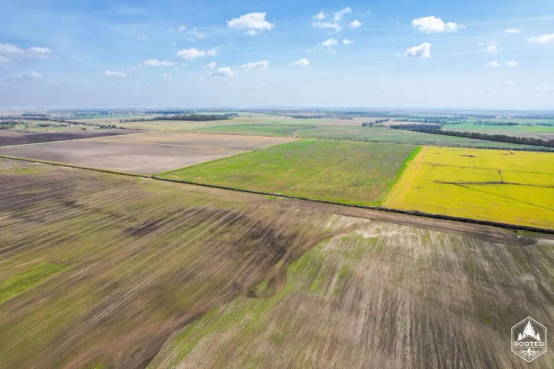 Tract 3 CR 706, Matthews, MO-New Madrid CO 460+/- Acres