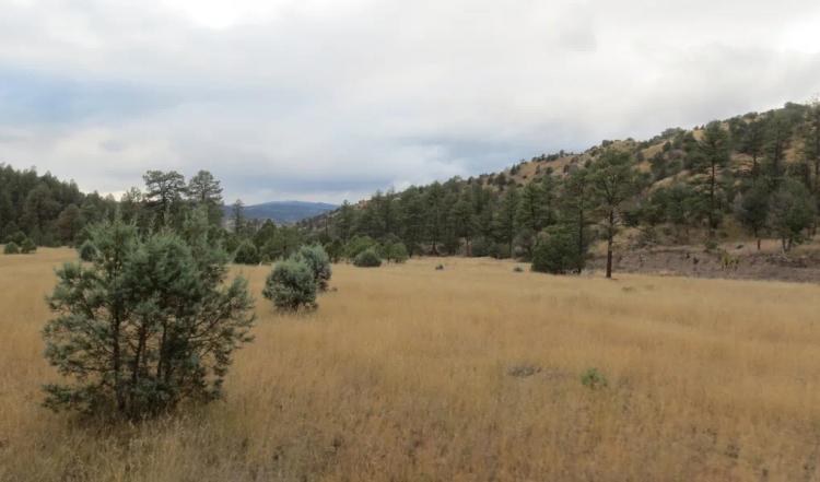 Grant County, NM Gila National Forest Inholding Tracts