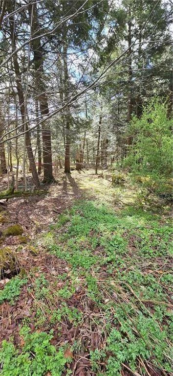 3.35 Acres at 0 Bliss Gulf Rd