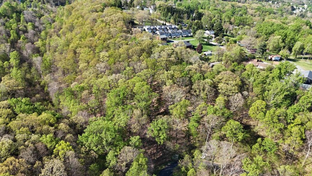 3.27 +/- Acres off Tyrone Rd