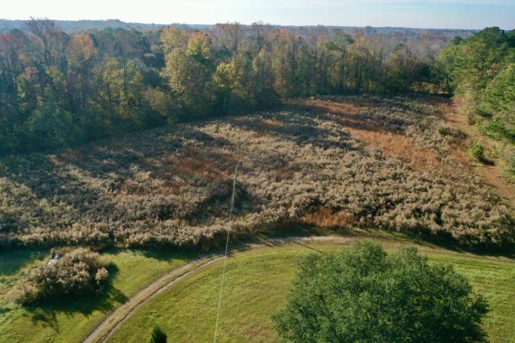 57.00 Acres at 679 V A MERRITT LN
