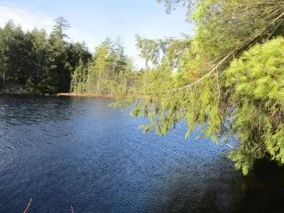 Gould Pond Retreat